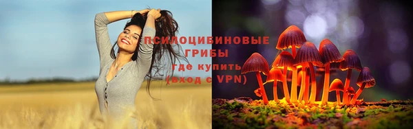 индика Балабаново