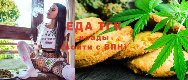 индика Балабаново